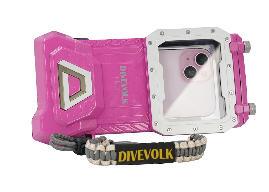 Pink (1)